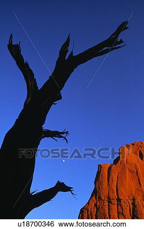 Desert View Large Photo Image Stock Photograph - Desert. Fotosearch