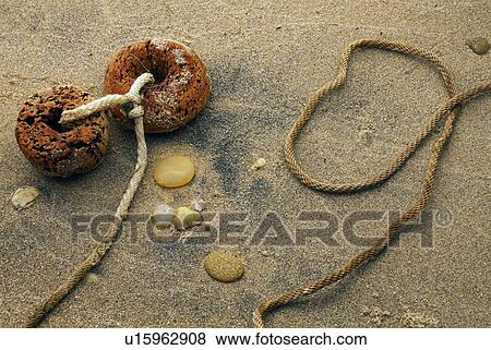 Floaters on sand View Large Photo Image Stock Photo - Floaters on sand. Fotosearch