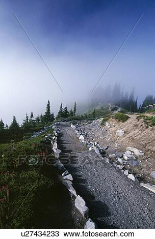 Stock Image - Foggy mountain trail. Fotosearch