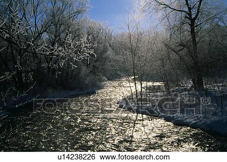 Stock Photograph - Frosted trees along stream. Fotosearch