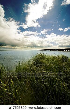 Grassland by Water View Large Photo Image Stock Photo - Grassland by Water. Fotosearch