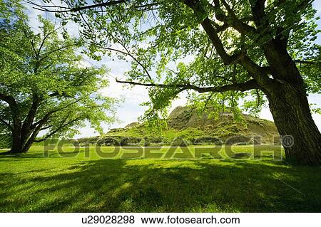 Green trees View Large Photo Image Stock Photo - Green trees. Fotosearch