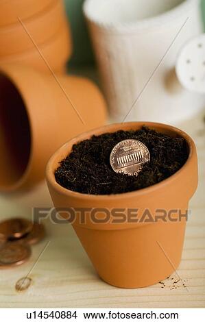 Picture - Growing your savings. Fotosearch