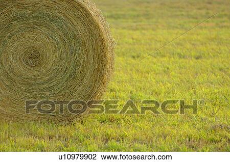 Stock Image - Hay Bale. Fotosearch