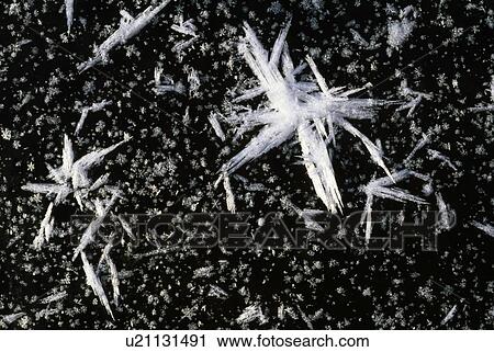 Ice crystal detail on lake surface View Large Photo Image Stock Image - Ice crystal detail on lake surface. Fotosearch
