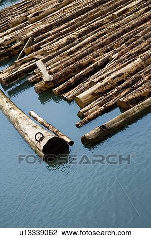 Logs in Water View Large Photo Image Stock Image - Logs in Water. Fotosearch