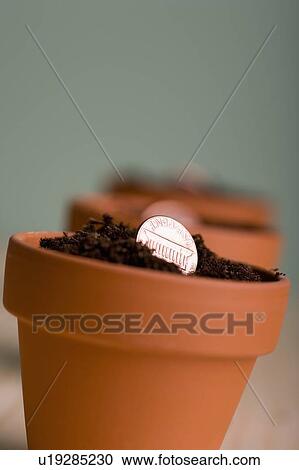 Pennies growing in pots View Large Photo Image Stock Image - Pennies growing in pots. Fotosearch