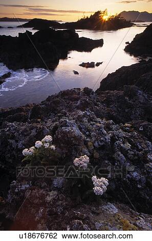 Stock Image - Queen Charlotte Islands. Fotosearch