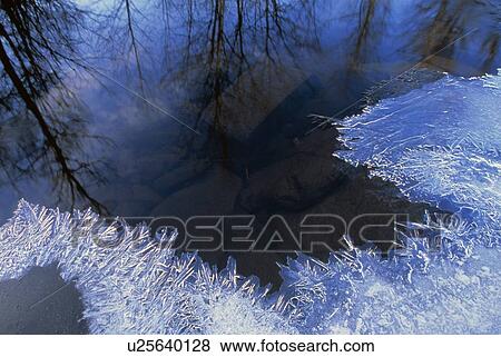 Stock Photo - Reflection and frost on a pond. Fotosearch