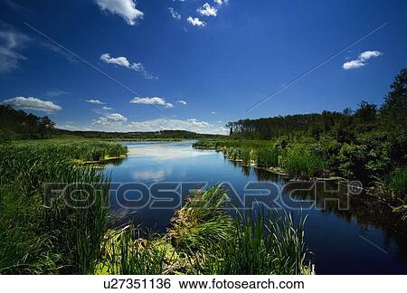 Stock Photograph - River scenic. Fotosearch