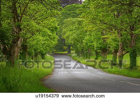 Road in Ireland View Large Photo Image Stock Photo - Road in Ireland. Fotosearch