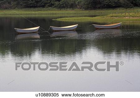 Rowboats moored in a lake View Large Photo Image Stock Photography - Rowboats moored in a lake. Fotosearch