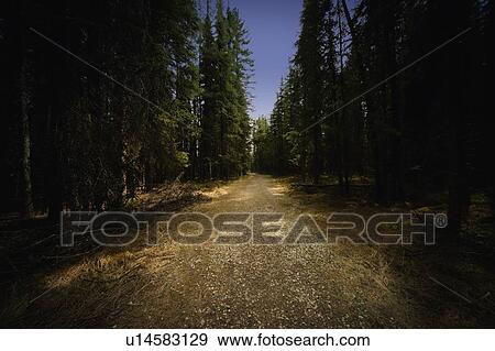 Rugged path View Large Photo Image Stock Photo - Rugged path. Fotosearch