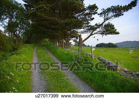 Stock Photo - Rural Ireland. Fotosearch