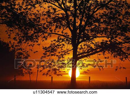 Rural sunset View Large Photo Image Stock Photo - Rural sunset. Fotosearch