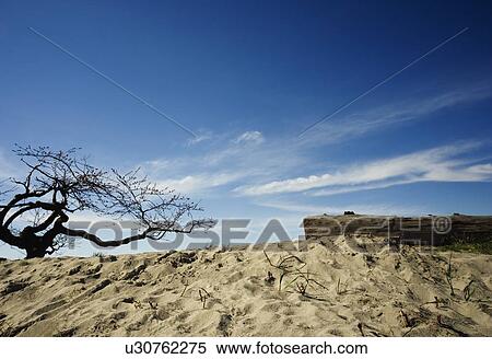 Stock Photography - Sandy beach. Fotosearch