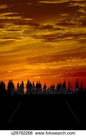Silhouetted forest at sunset View Large Photo Image Stock Photo - Silhouetted forest at sunset. Fotosearch