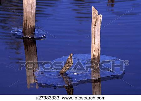 Stock Image - Springtime Thaw. Fotosearch