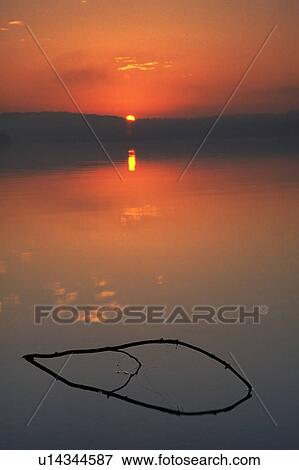 Stick reflection at sunrise View Large Photo Image Stock Photo - Stick reflection at sunrise. Fotosearch