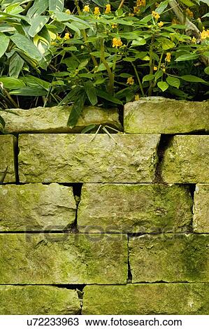Stone planter View Large Photo Image Stock Image - Stone planter. Fotosearch
