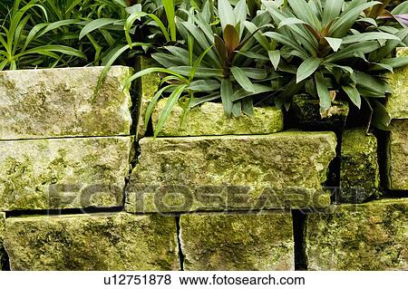 Stone wall View Large Photo Image Stock Photo - Stone wall. Fotosearch