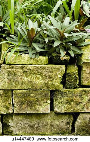 Stock Photo - Stone wall. Fotosearch