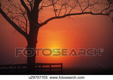 Sunrise View Large Photo Image Stock Image - Sunrise. Fotosearch