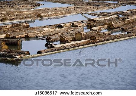 Transporting Logs View Large Photo Image Stock Photo - Transporting Logs. Fotosearch