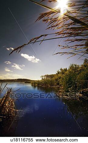 Wetlands and river View Large Photo Image Stock Photography - Wetlands and river. Fotosearch