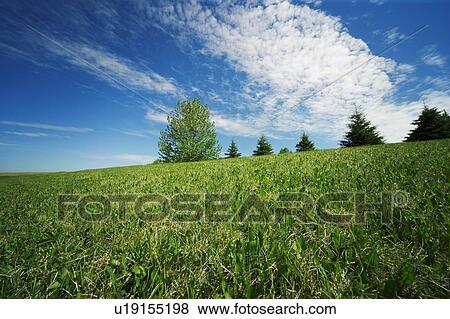 Stock Photo - Wide open spaces. Fotosearch