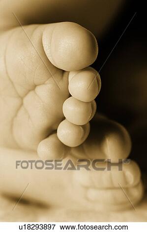 Stock Photo - A baby's feet. Fotosearch