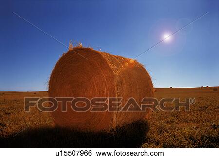Stock Photograph - A bale of hay. Fotosearch