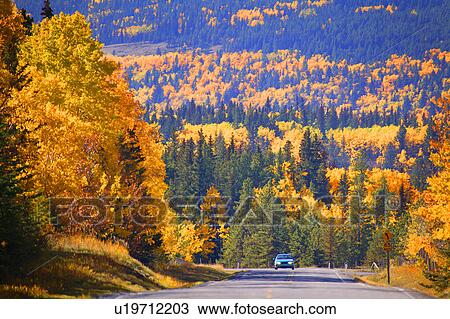 A car traveling through a scenic valley View Large Photo Image Stock Image - A car traveling through a scenic valley. Fotosearch