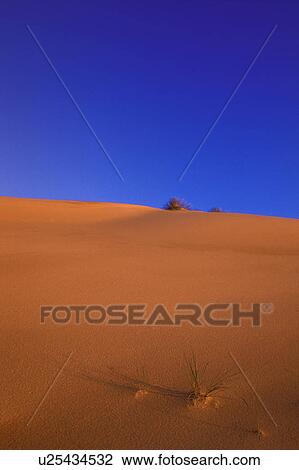 Stock Image - A desert. Fotosearch