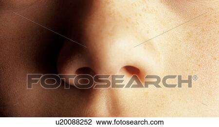 A nose View Large Photo Image Stock Image - A nose. Fotosearch