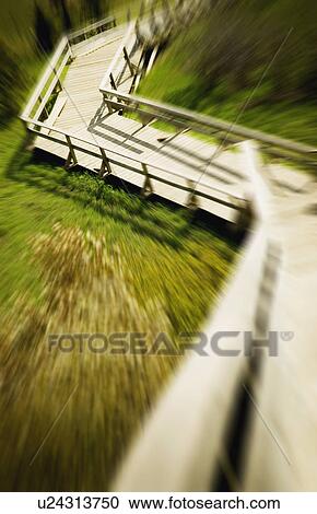 Stock Image - A pathway in a park. Fotosearch