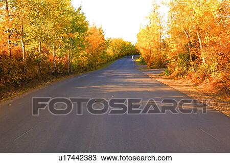 A road in autumn View Large Photo Image Stock Image - A road in autumn. Fotosearch