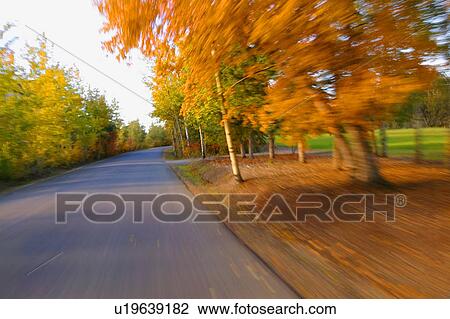 Stock Image - A road in autumn. Fotosearch