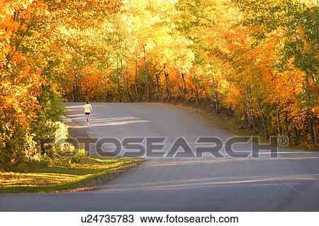 Stock Image - A scenic road in autumn. Fotosearch