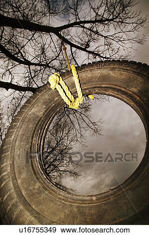 Stock Photo - A tire swing. Fotosearch