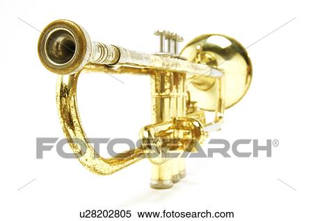 A trumpet View Large Photo Image Stock Photography - A trumpet. Fotosearch