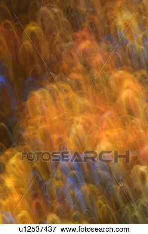 Abstract fall colors View Large Photo Image Stock Photo - Abstract fall colors. Fotosearch