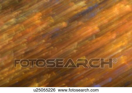 Stock Photograph - Abstract Fall colors. Fotosearch