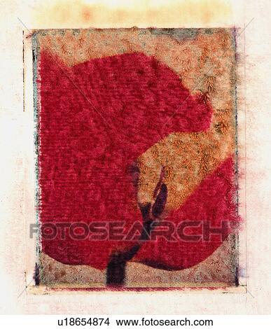Abstract impression of tulip View Large Photo Image Picture - Abstract impression of tulip. Fotosearch