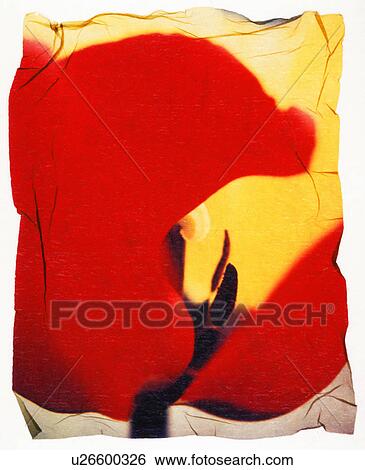 Stock Photograph - Abstract picture of tulip. Fotosearch