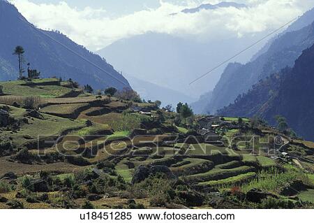 Agricultural mountainous landscape View Large Photo Image Stock Photography - Agricultural mountainous landscape. Fotosearch