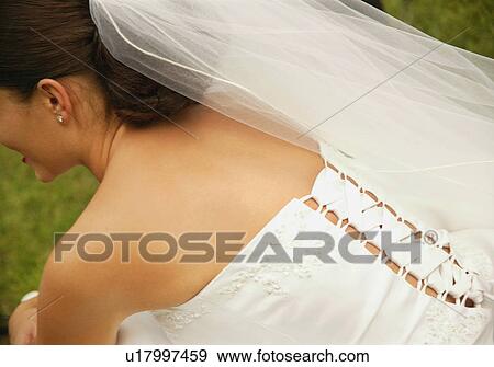 Back of bride's dress View Large Photo Image Stock Photo - Back of bride's dress. Fotosearch