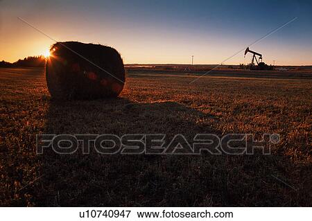 Bale of hay in field with sun and oil pump behind View Large Photo Image Stock Photo - Bale of hay in field with sun and oil pump behind. Fotosearch