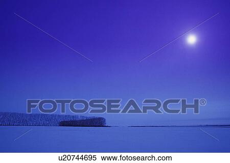 Bare winter landscape View Large Photo Image Stock Photography - Bare winter landscape. Fotosearch
