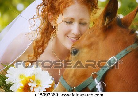 Bride and a horse View Large Photo Image Stock Photo - Bride and a horse. Fotosearch